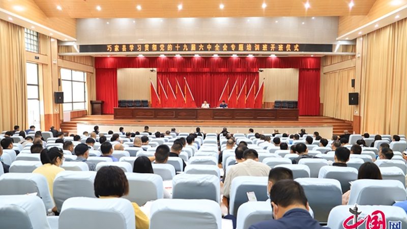 k12网课哪家性价比高